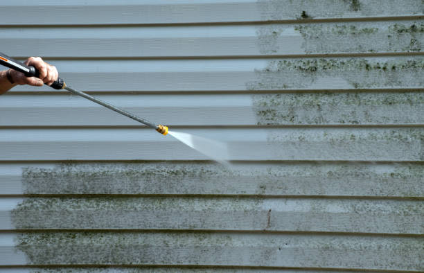 Certified Mold Removal in Walnut Hill, TN